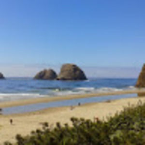 Meet your Posher, Paul